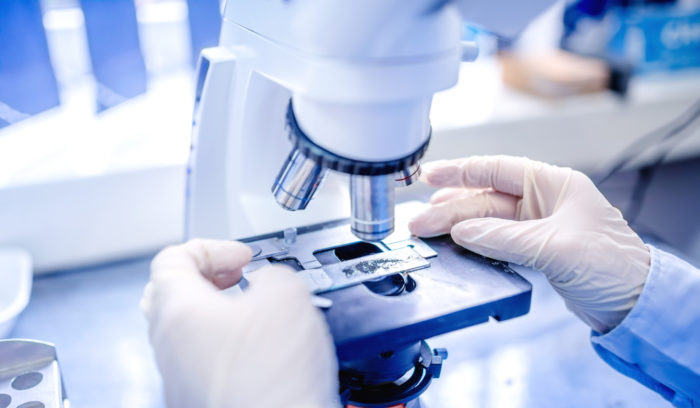 hands sliding microscope slides under lens for health care in Canada