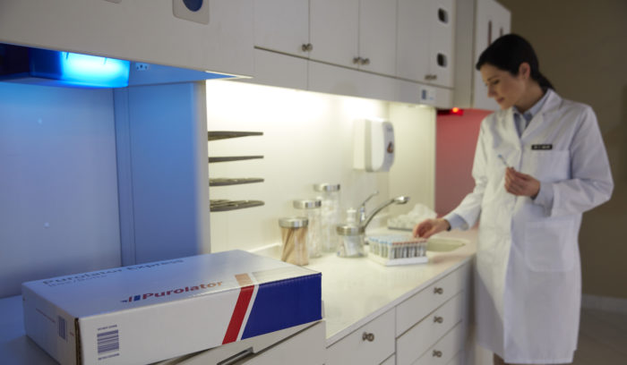 medical professional shipping vials with Purolator and reviewing healthcare logistics paperwork